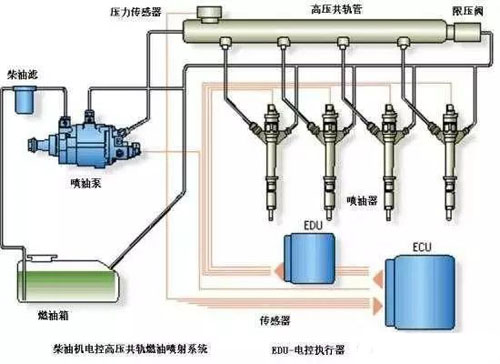 柴油机结构